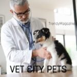 VetCityPets