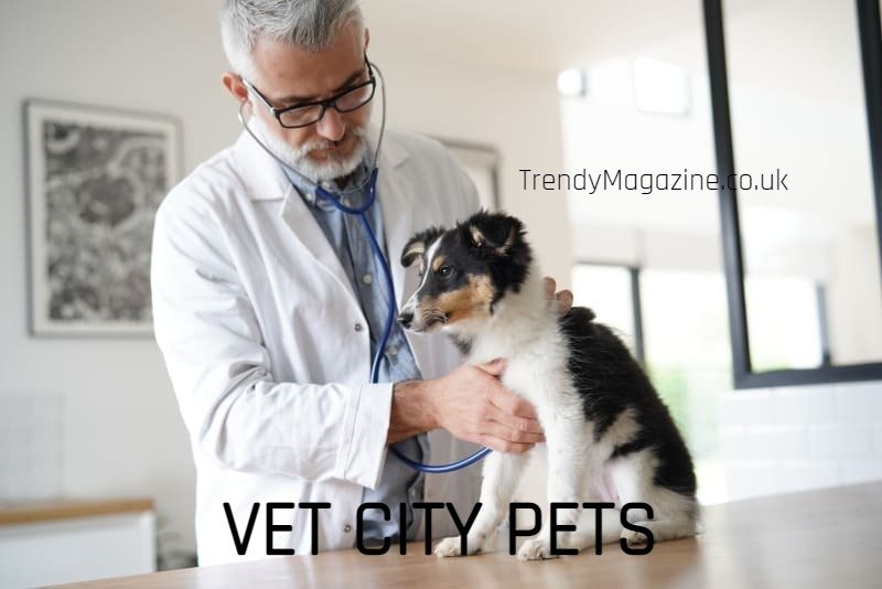 VetCityPets